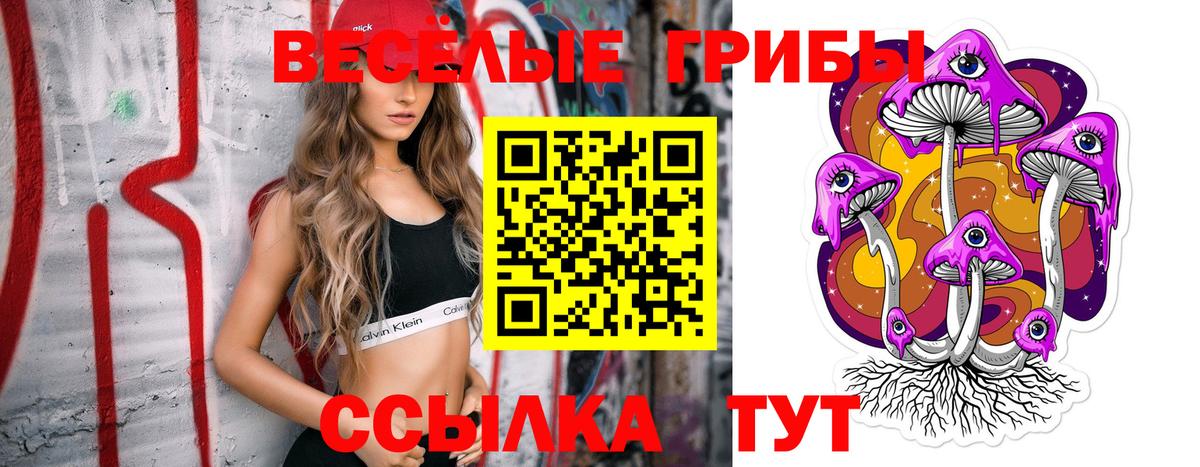 Галлюциногенные грибы мицелий  Вход с VPN  Балашиха 